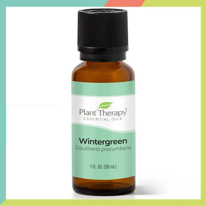 Plant Therapy Wintergreen Essential Oil