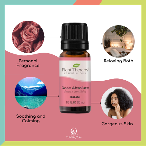 Plant Therapy Rose Absolute Essential Oil