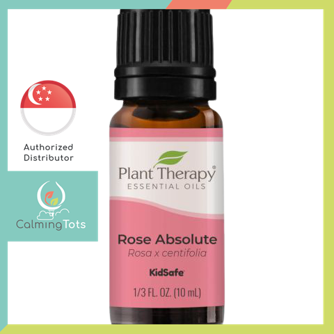 Plant Therapy Rose Absolute Essential Oil